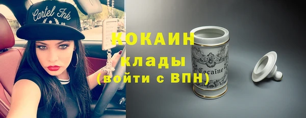 ECSTASY Алзамай