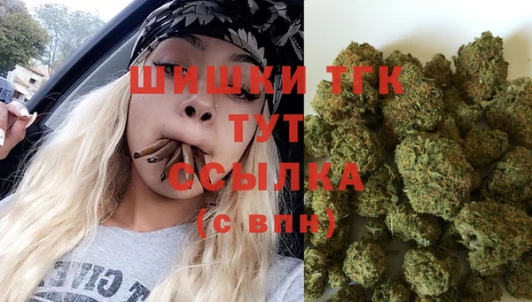 ECSTASY Алзамай