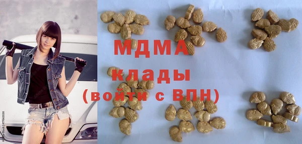 ECSTASY Алзамай