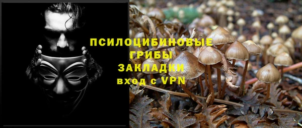 ECSTASY Алзамай