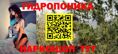 стафф Обь
